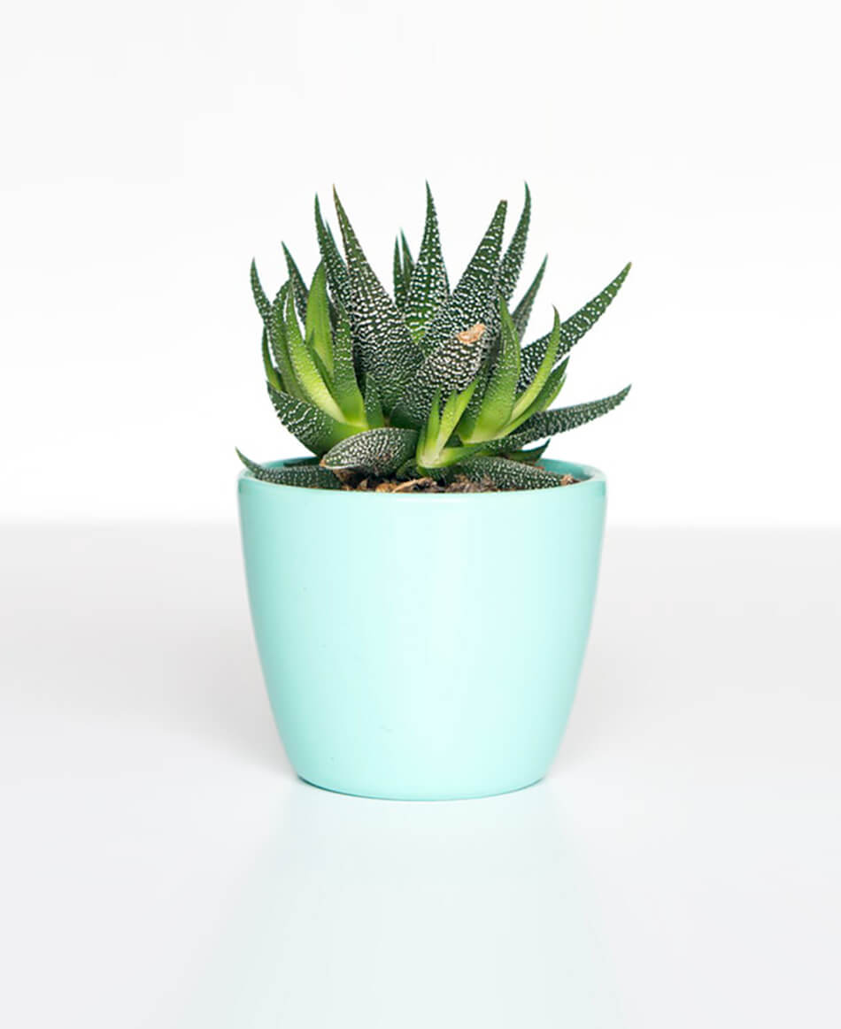 Genel ?evre D?zenlemesi